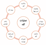 ویژگی های کلی نسخه تحت وب مدیران